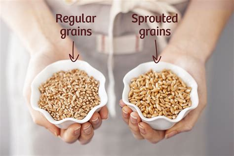 sprouted grain vs whole.